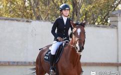 一边吃小兔兔一边有声视频